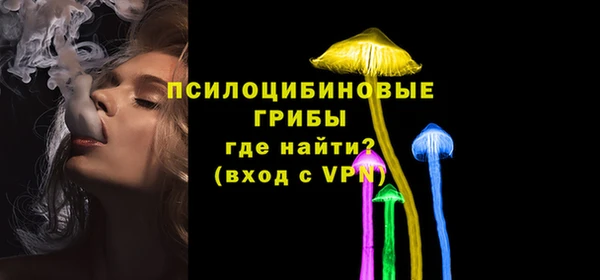 сатива Анжеро-Судженск